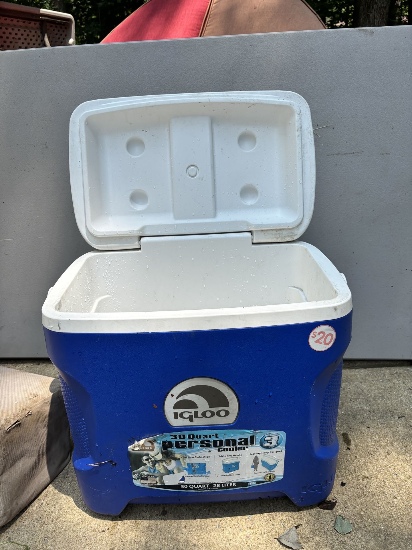 Blue Igloo Cooler