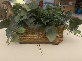 Silk plant in planter