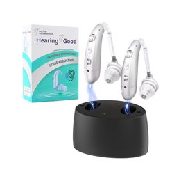 Hearing Aids for Seniors, Hearing Aids Rechargeable with Noise Cancelling and Volume Control, Hearing Amplifier for Adults Hearing Loss, Portable