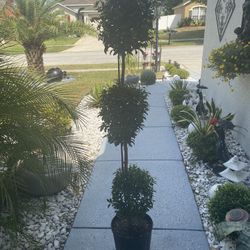 Palitos Con Dos Bolas Y Tres Bolsas