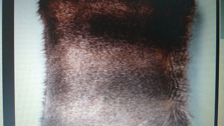 Long Striped Faux Fur Square Throw Pillow Brown - Project