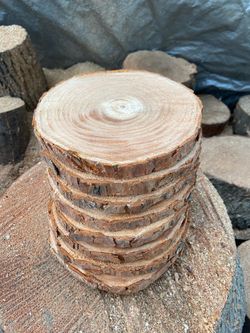 Wood Slices/ Center Pieces