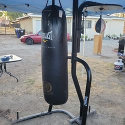 Everlast Costal Y Base