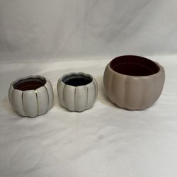 Three ceramic pumpkin plant pots