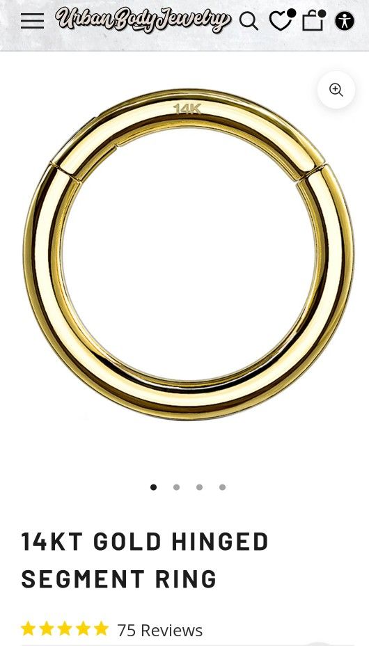 14kt Gold Hinged Segment Ring
