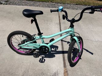 Guardian Kids 16” Bike