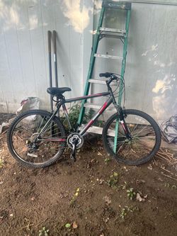 Adult mountain bike