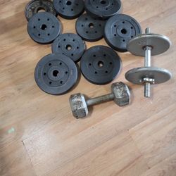 Weights 