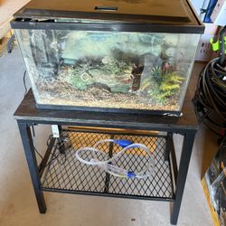Fish Tank