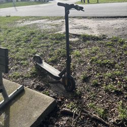 Ninebot Scooter 