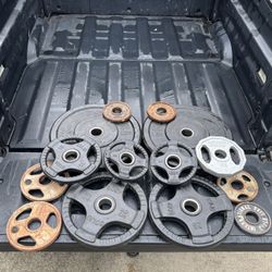 Olympic 2” Plates Weights (170lbs)