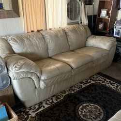 Two Leather Couches