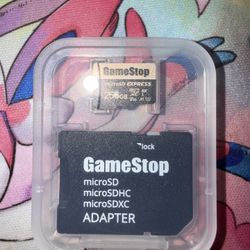 256GB Express Micro Sd (READ DESC)