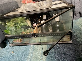 Reptile/turtle tank with cover and accessories.