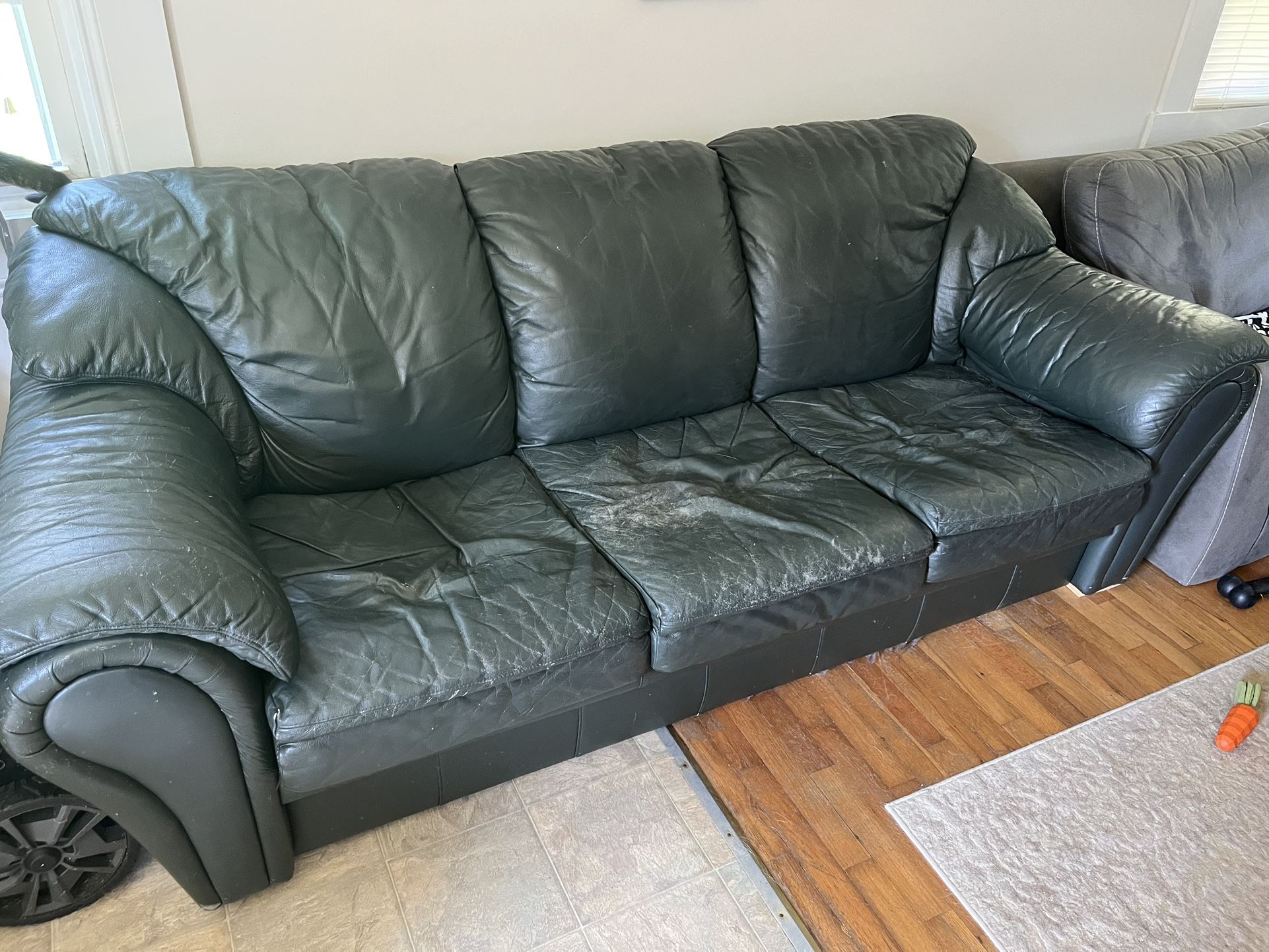 Free Used Green Couch!