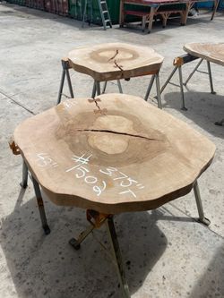 Round Crosscut ~ Live Edge ~ Please Read Description!