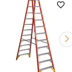 12 Ft. Werner Wrung Latter