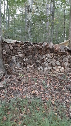 New And Used Free For Sale In Winston Salem Nc Offerup