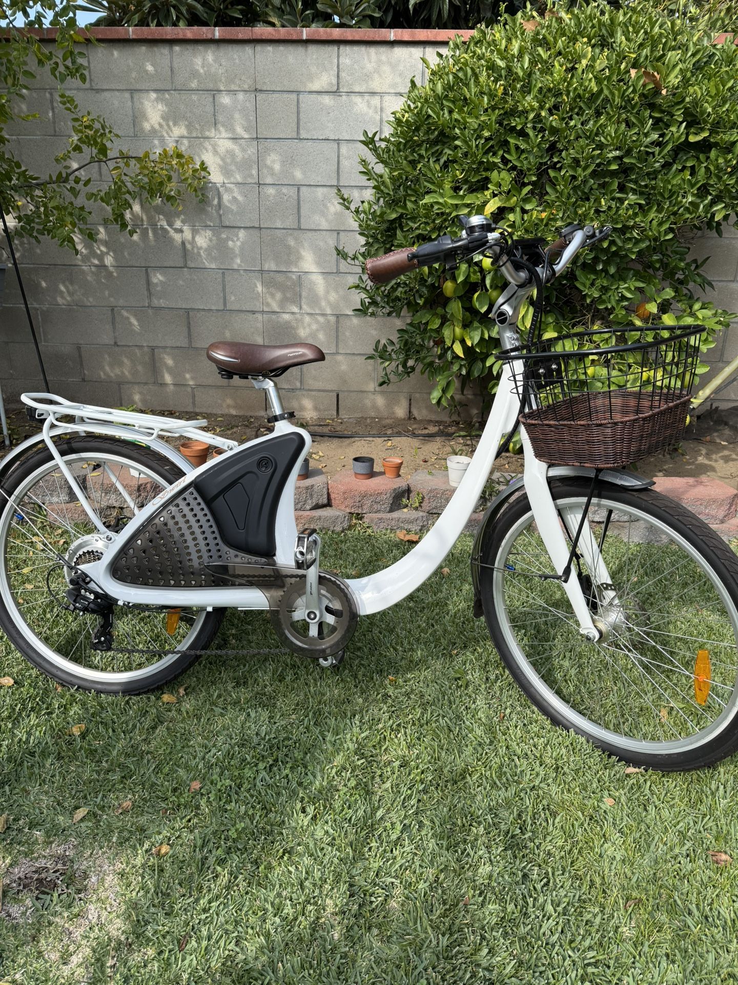Electric Bike