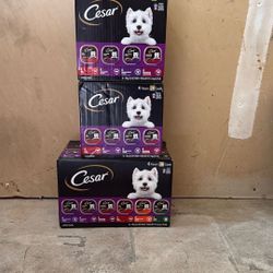 Cesar Adult Wet Dog Food Steak Lovers Variety Pack with Real Meat, 3.5 oz. Easy Peel Trays 84 Count