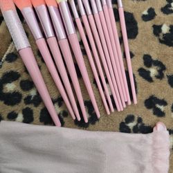 NEW Makeup Brushes with Velvet Bag