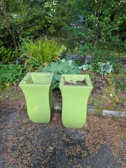 Tree Planters