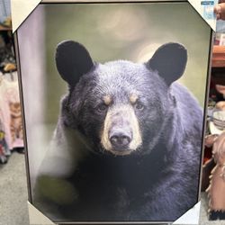 Beautiful Painting Brand New 