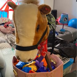 Pony Toy 