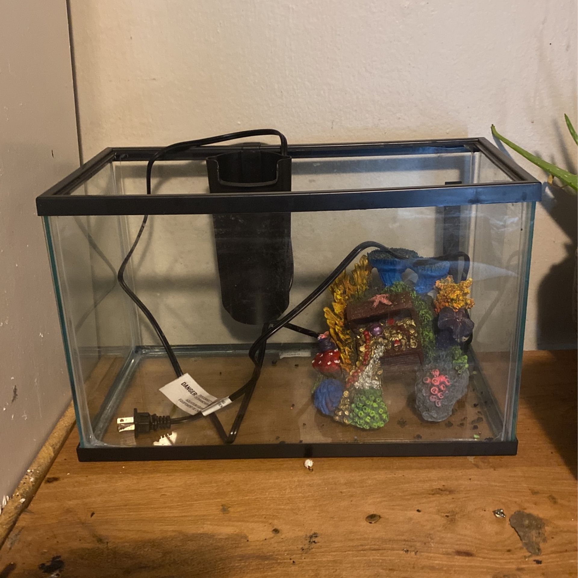 10 Gallon Aquarium