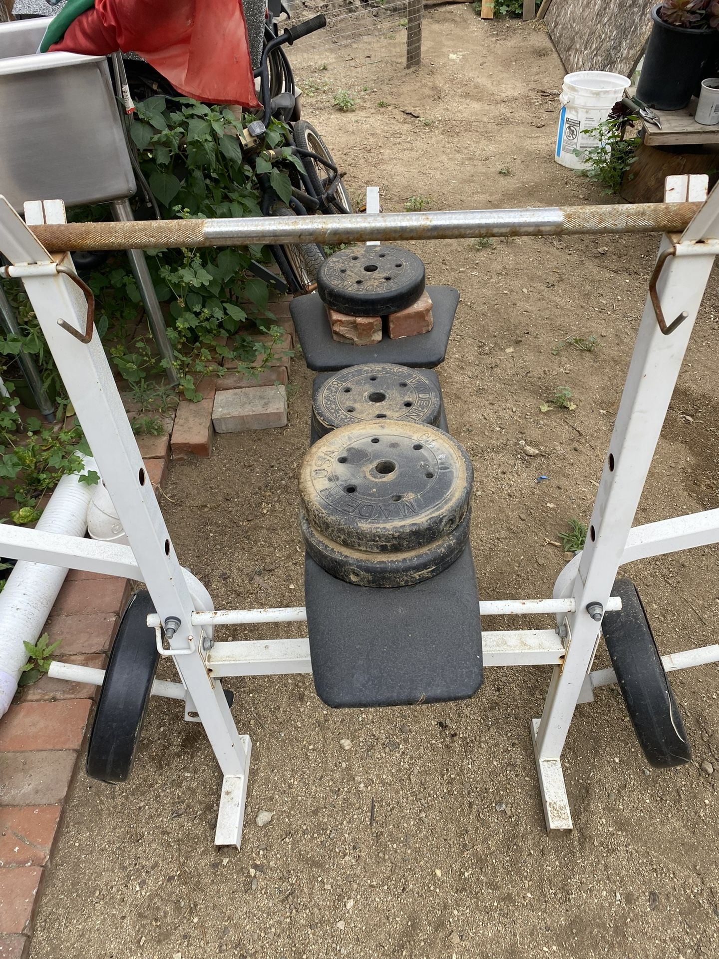 Workout Bench With Weights