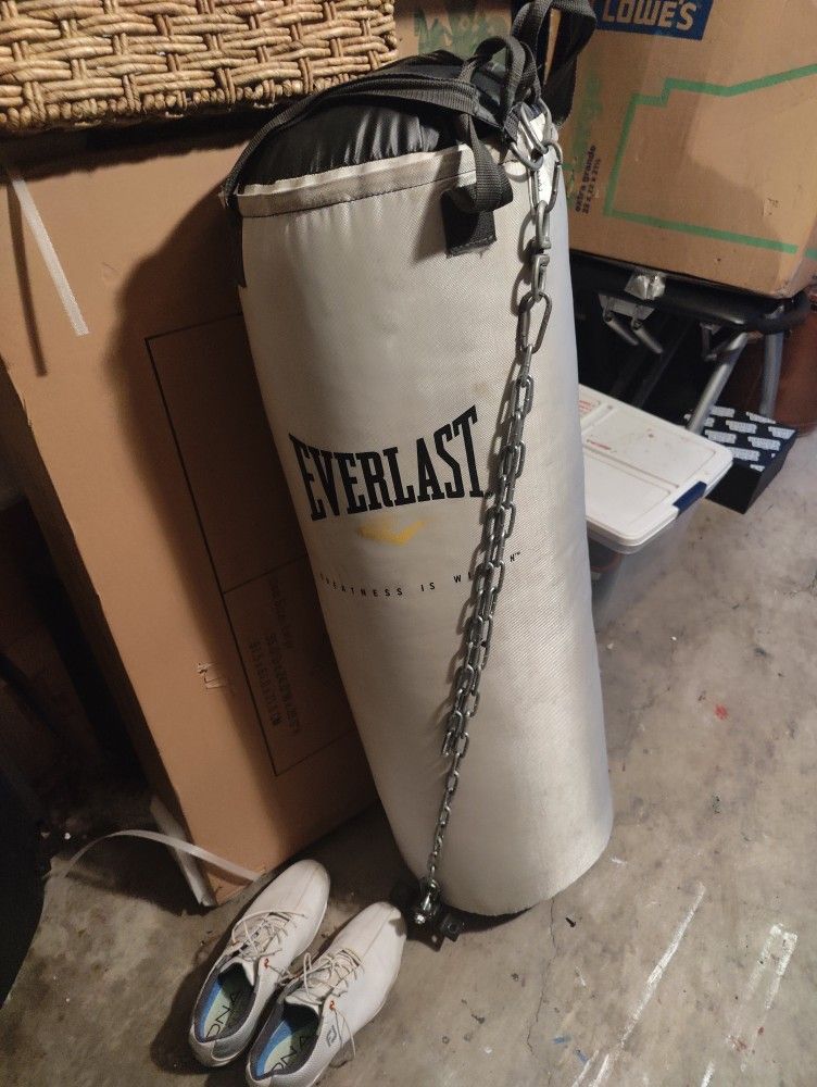 Everlast Punching Bag