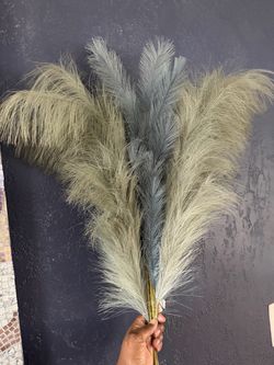 Blue feathered pampas for decor