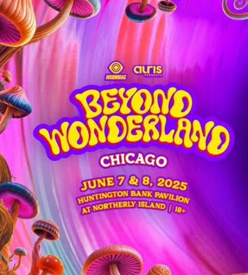 VIP Beyond Wonderland