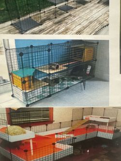 Free  Guinea Pig cage