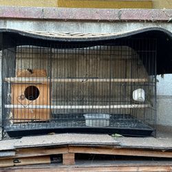 Bird Cage. 