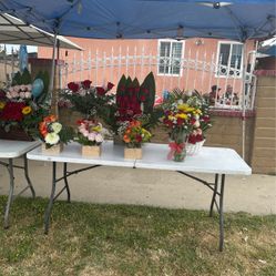 Flower For Mother Day 💐 $50 Each