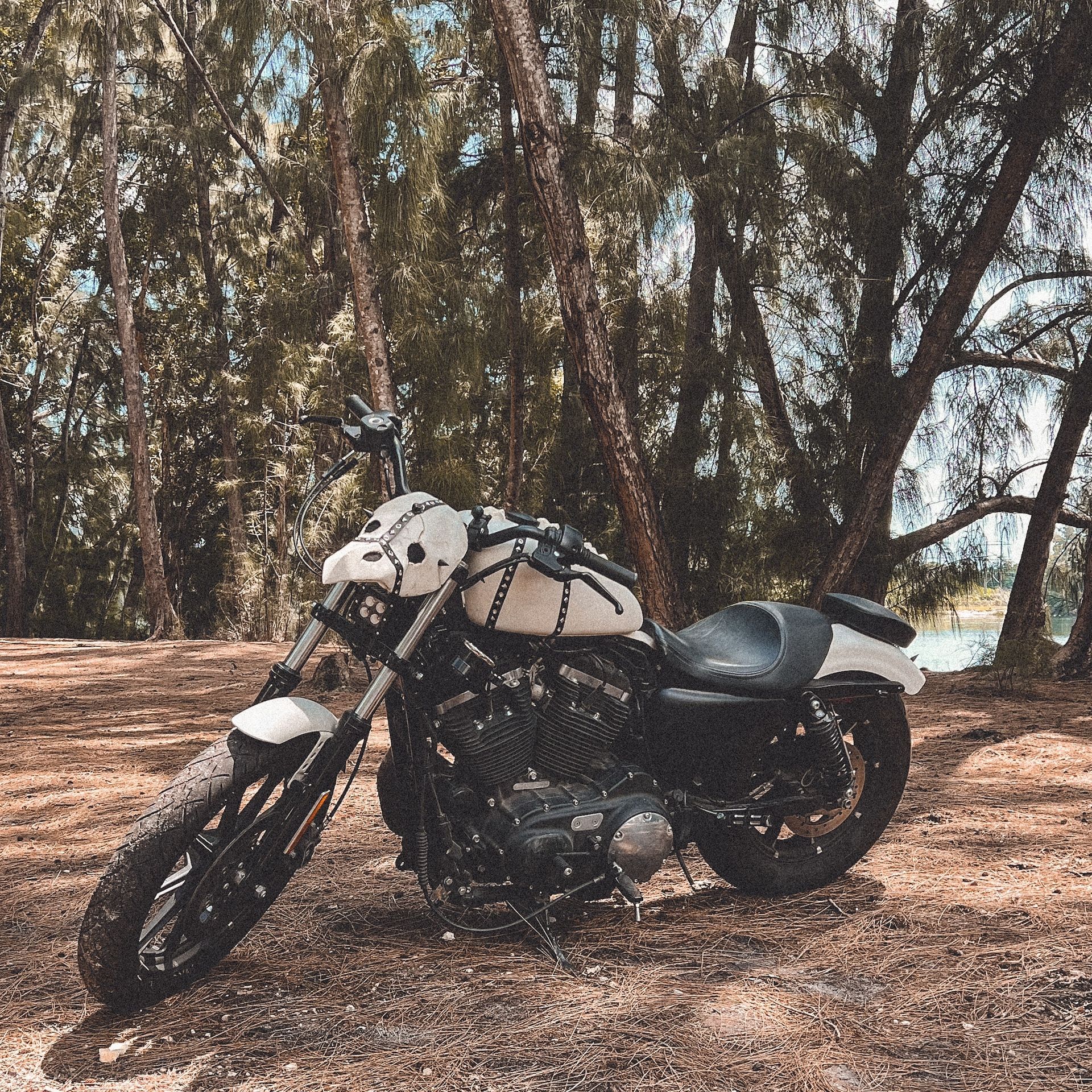 2018 Harley-Davidson Sportster