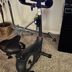 Schwinn Upright Workout Bike 
