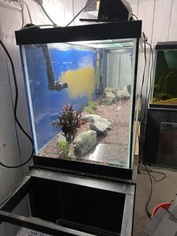 Fish Tank And Stand