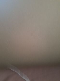 Kendrick lamar need section 116 tickets