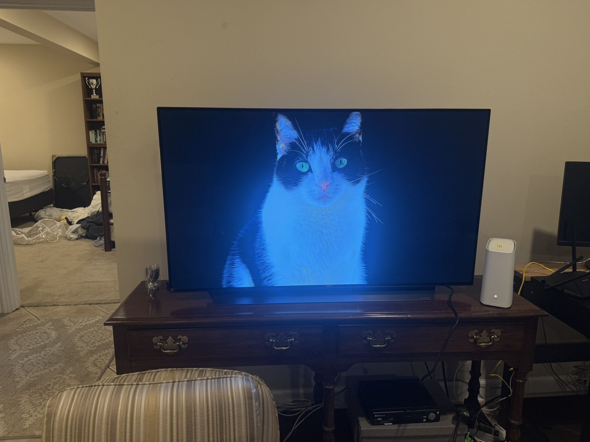 LG OLED C1 48in