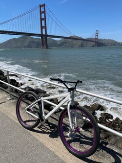SE Bikes Big Flyer 29-inch