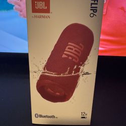 JBL Flip 6