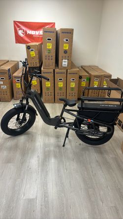 Ebike for family - family electric bike for children and pet to sit on