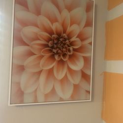 Wall Pictures (decor)