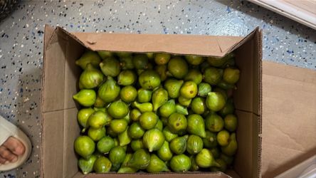 Organic sweet figs