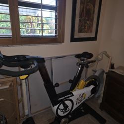 Pro Form Tour De France Bike 