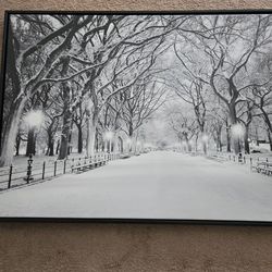 Snowy Central Park