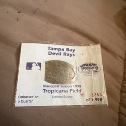 Tampa Bay Devil Rays coin