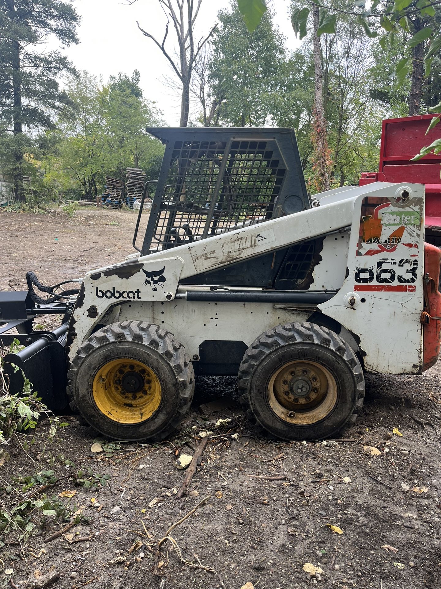 Bobcat